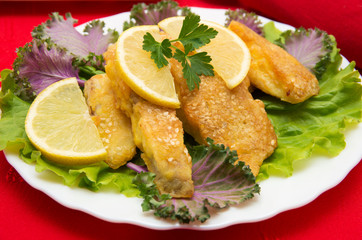 Fish dish - fried fish fillet.
