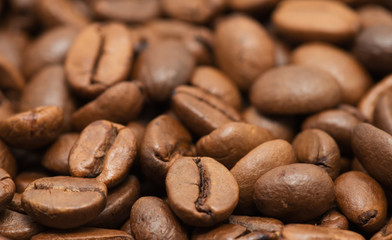 Closeup of coffee beans