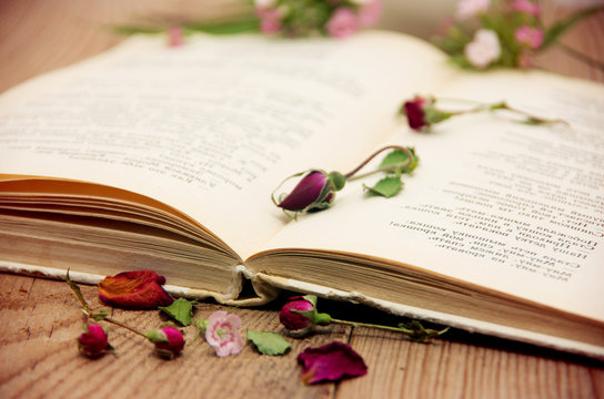 Dry roses and old book.