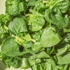 Spinach leaves