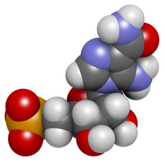 AICA ribonucleotide (AICAR) performance enhancing drug molecule.