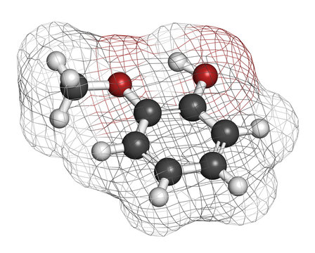 Guaiacol aromatic molecule.