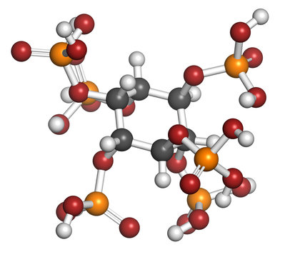 Phytic acid (hexakisphosphate, IP6, phytate) molecule.
