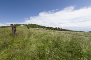 Hala Długa, Gorce, Polska © Piotr Szpakowski