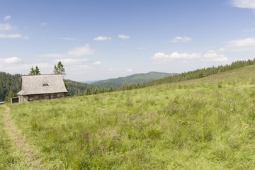 Hala Długa, Gorce, Polska © Piotr Szpakowski