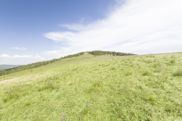 Hala Długa, Gorce, Polska © Piotr Szpakowski