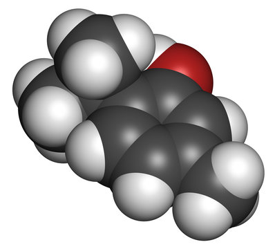 Thymol oil of thyme molecule. Present in kitchen herb Thymus.