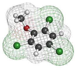 Trichloroanisole (TCA) cork taint molecule.