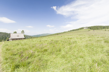 Hala Długa, Gorce, Polska © Piotr Szpakowski