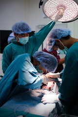 veterinarian surgeons in operation room