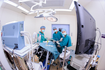 Obraz premium veterinarian doctor in operation room for laparoscopic surgical