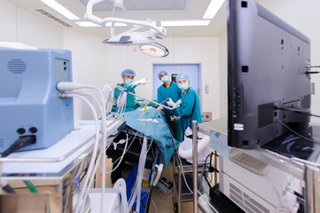 veterinarian doctor in operation room for laparoscopic surgical