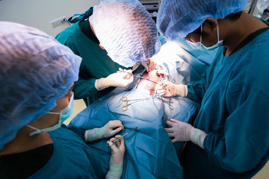 group of veterinarian surgeons in operation room