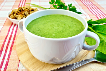 Soup puree with spinach on fabric