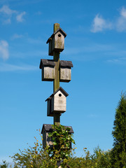 Wooden bird house