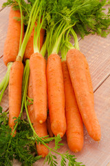 Fresh organic carrots with their tops