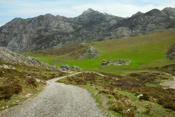 Fototapeta na wymiar Dirt Road in the Cantabrian Mountains (Picos de Europa), Spain.