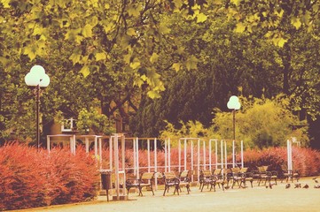 miejsce wypoczynku w parku miejskim © Mike Mareen