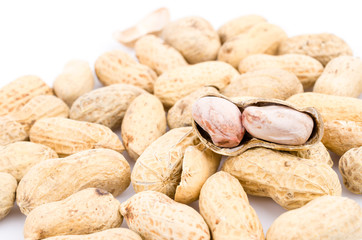 Obraz premium Peanut