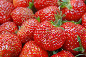 Fresh strawberries