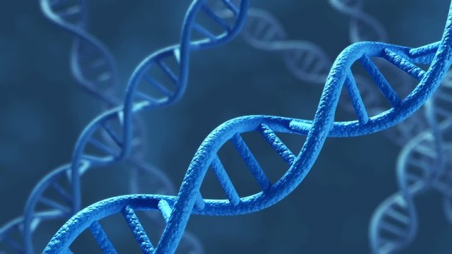 DNA Animation