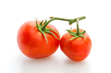 Tomato isolated on white