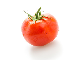 Tomato isolated on white