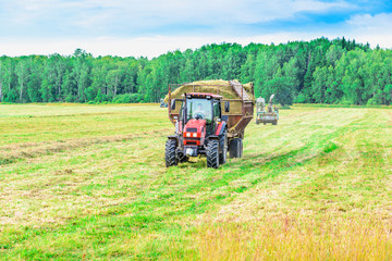 Fototapeta premium tractor with a hay