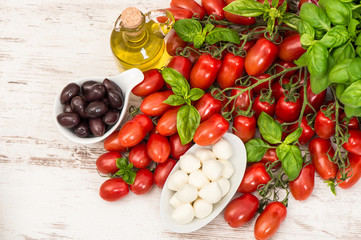 Fototapeta na wymiar tomatoes, basil leaves, mozzarella and olive oil