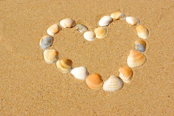 Fototapeta na wymiar Heart frame made of sea shells