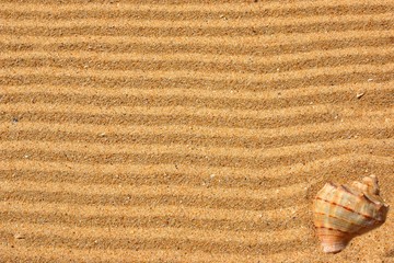 Beach sand background
