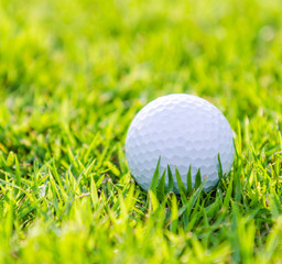 Golf ball on green grass