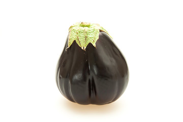 Fresh Eggplant
