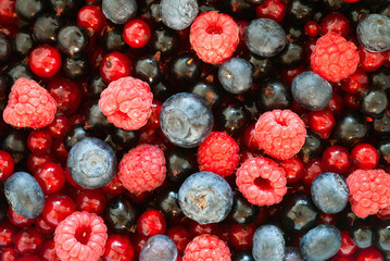 berries