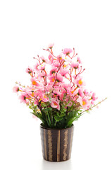 Bouquet of flower