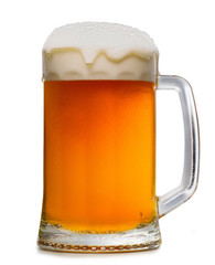 beer mug