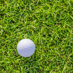 Golf ball on green grass