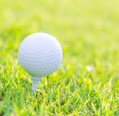 Golf ball on green grass