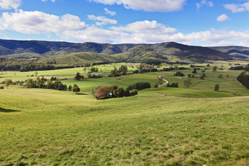 Tas Valley Pasture