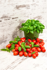 fresh basil plant and cherry tomatoes