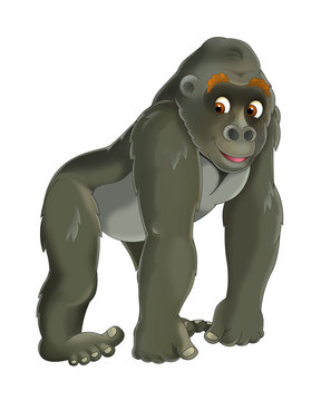 Cartoon animal - gorilla - illustration for children