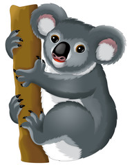 Cartoon animal - koala bear - illustration for children © agaes8080