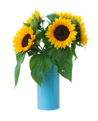 sunflowers flowers bouquet