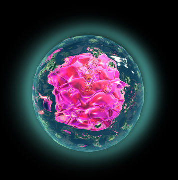 3d render of Embryo cleavage, medical illustration
