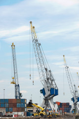 Fototapeta na wymiar big cranes in dutch harbor
