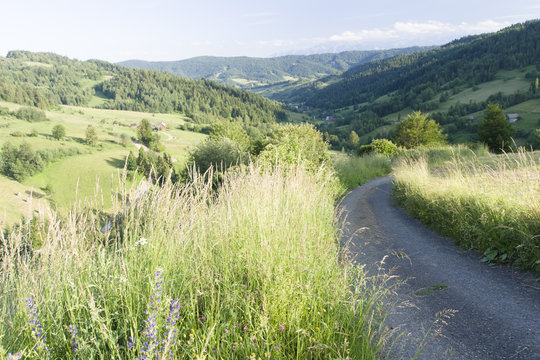 Dolina potoku Jamne, Gorce, Ochotnica, Polska