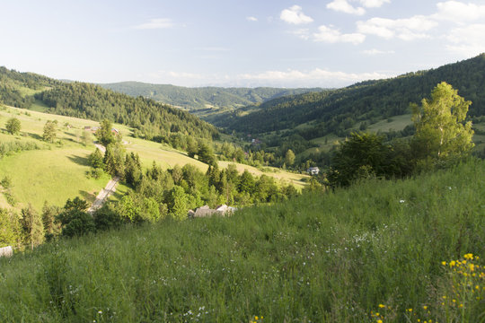 Dolina potoku Jamne, Gorce, Ochotnica, Polska