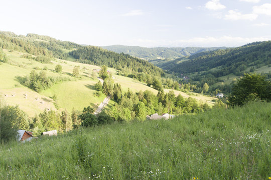Dolina potoku Jamne, Gorce, Ochotnica, Polska