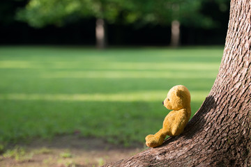 TEDDY BEAR brown color on the tree