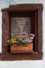 Fototapeta na wymiar Window of a house in Eguisheim, Alsace, France